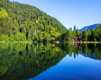 Artvin Website Tasarımı